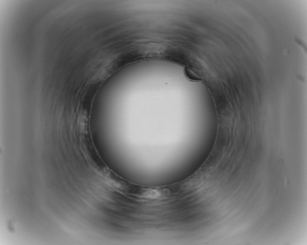 X0000097780083200803211808