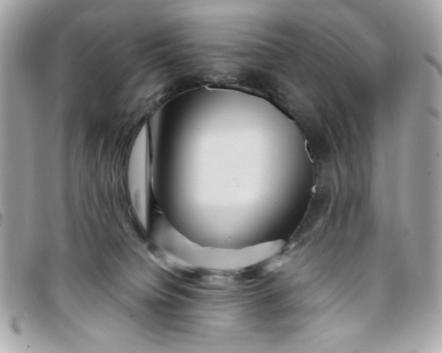 X0000097780084200803211808