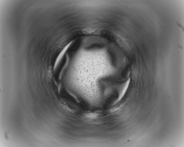 X0000097780085200803211808