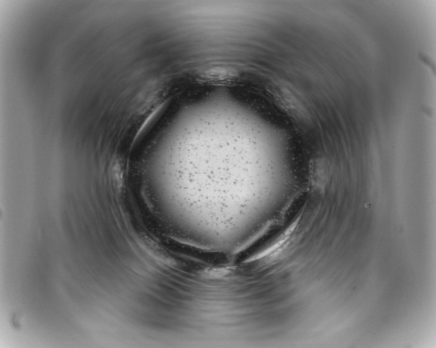 X0000097780086200803211808