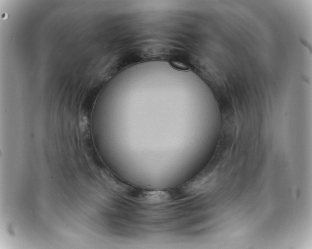 X0000097780087200803211808