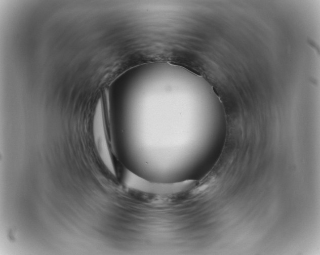 X0000097780088200803211808