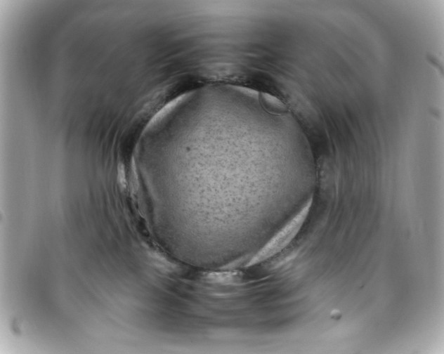 X0000097780089200803211808