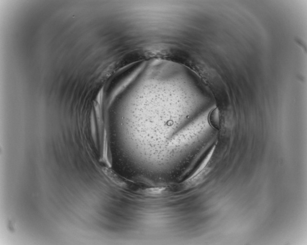 X0000097780090200803211808