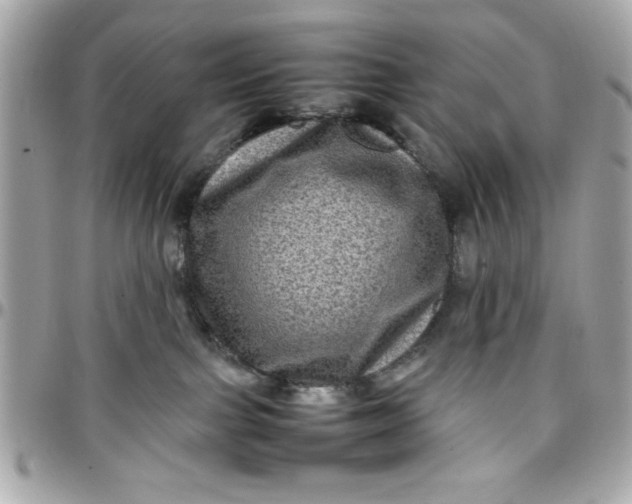 X0000097780091200803211808