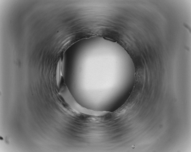 X0000097780092200803211808