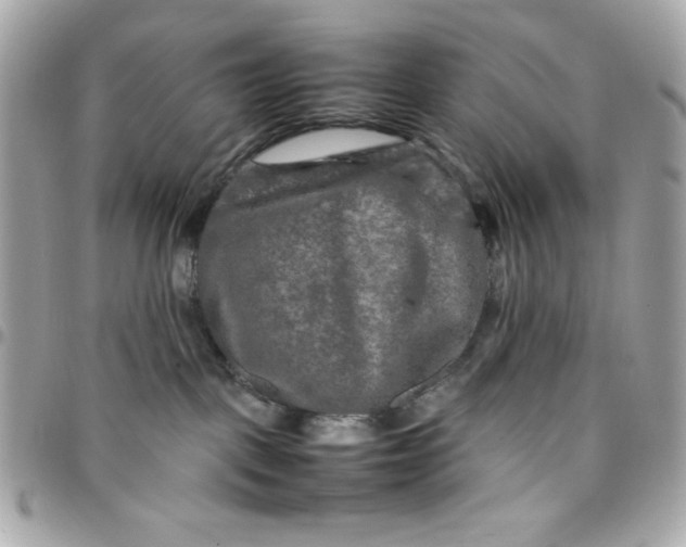 X0000097780093200803211808