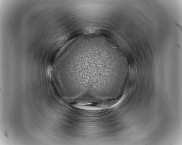 X0000097780094200803211808