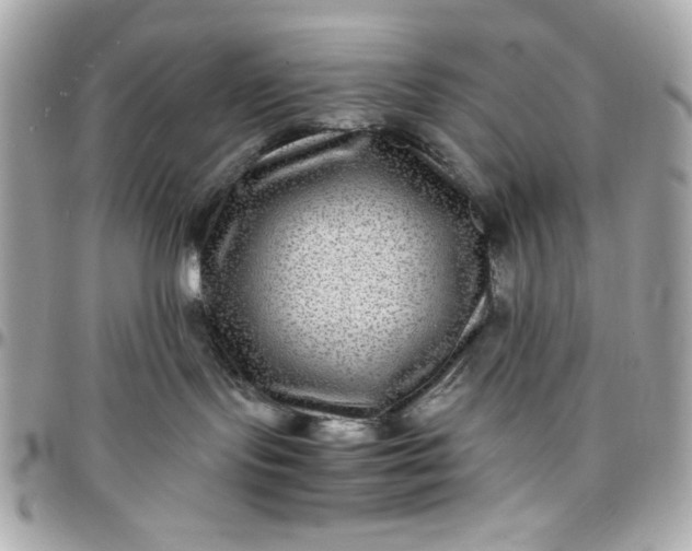 X0000097780095200803211808