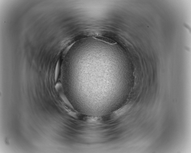 X0000097780096200803211808