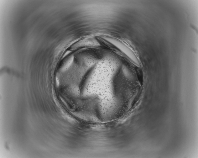 X0000097780097200803211808