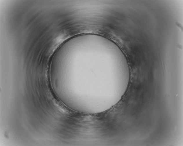 X0000097780098200803211808