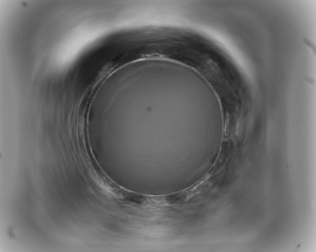 X0000097780099200803211808