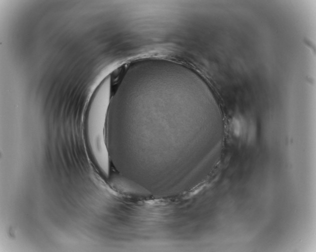 X0000097780100200803211808