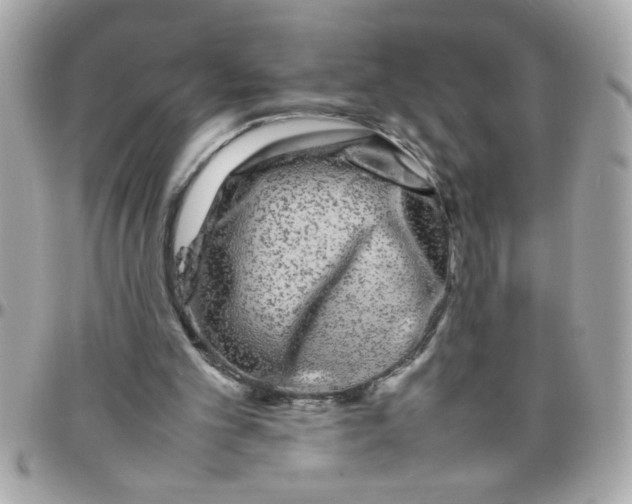 X0000097780101200803211807