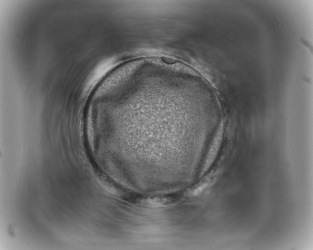 X0000097780103200803211807