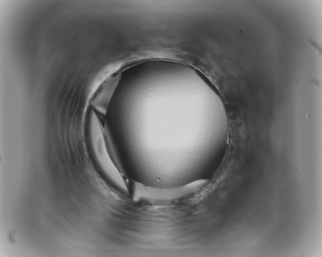 X0000097780104200803211807