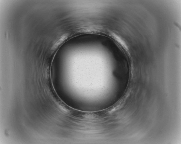 X0000097780105200803211807