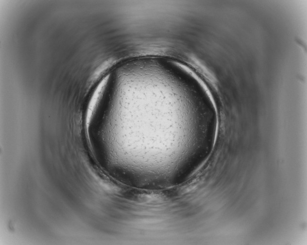 X0000097780107200803211807