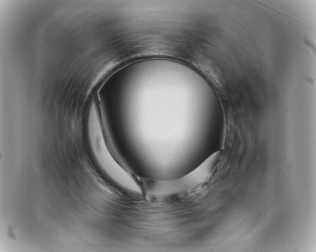 X0000097780108200803211807