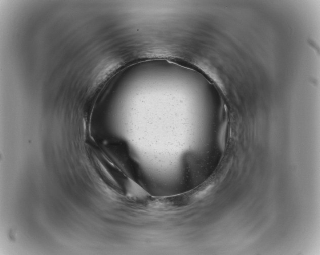 X0000097780109200803211807