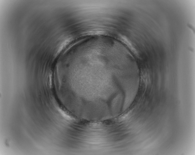 X0000097780110200803211807