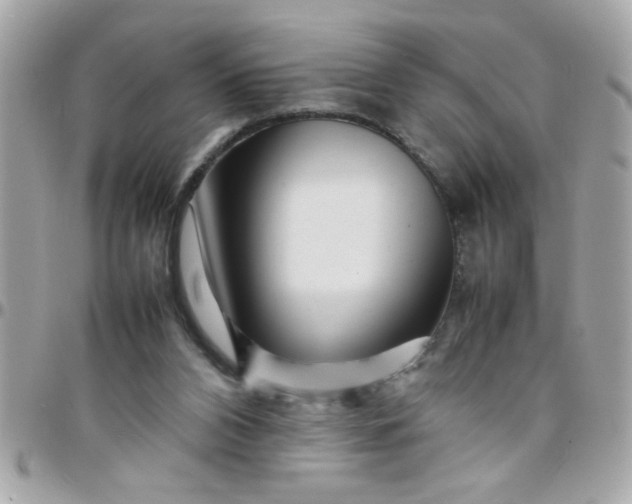 X0000097780112200803211807