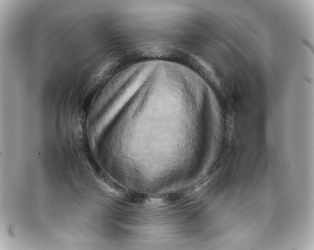 X0000097780114200803211807