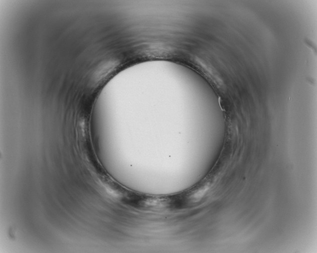 X0000097780117200803211807