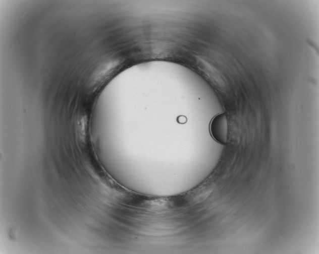 X0000097780118200803211807