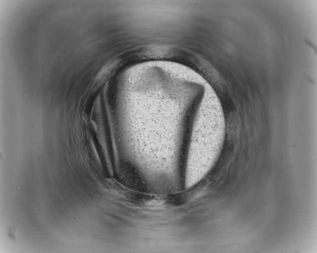 X0000097780119200803211807