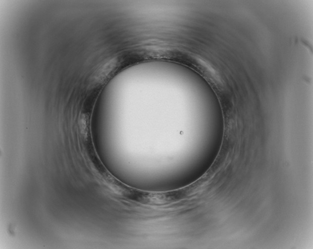 X0000097780121200803211807