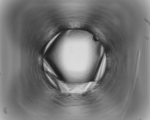 X0000097780123200803211807