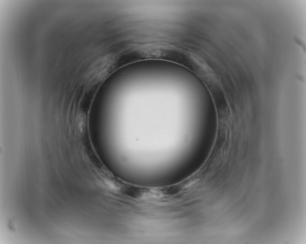 X0000097780125200803211807