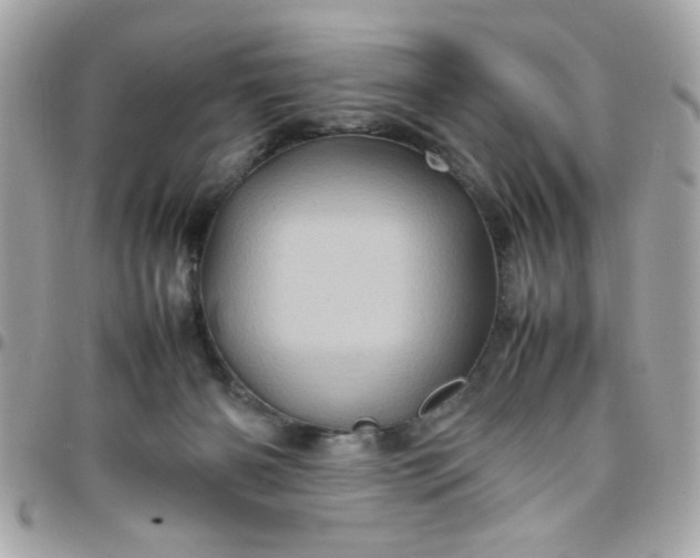 X0000097780126200803211807