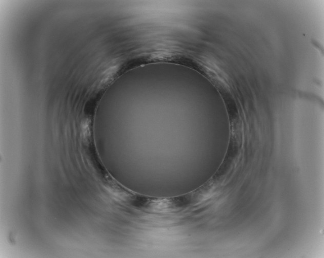 X0000097780127200803211807