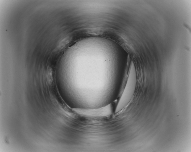 X0000097780128200803211807