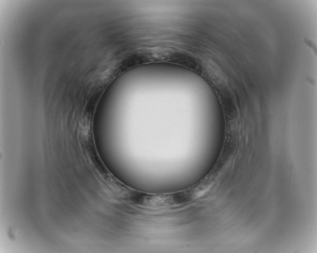 X0000097780129200803211807