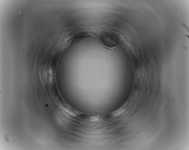 X0000097780130200803211807