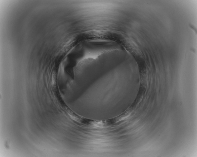 X0000097780131200803211807