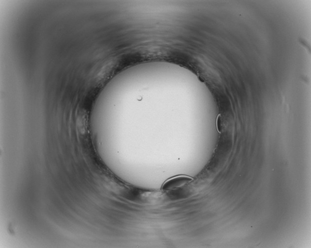 X0000097780133200803211807