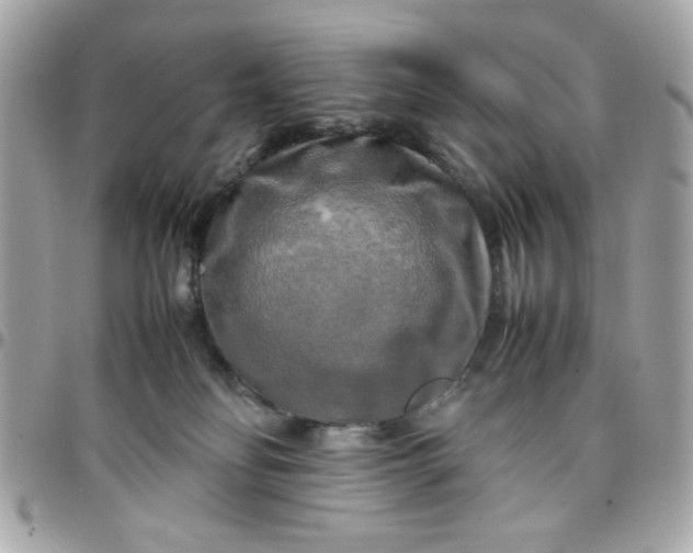 X0000097780134200803211807