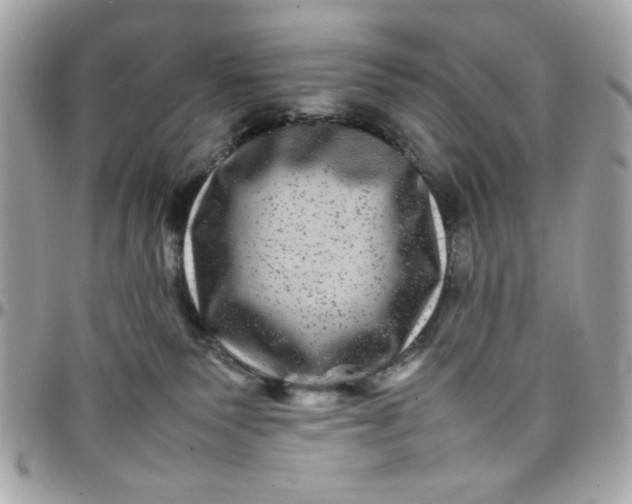 X0000097780135200803211807