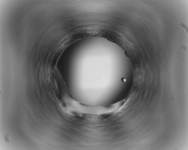 X0000097780136200803211807