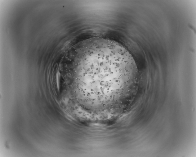 X0000097780137200803211807