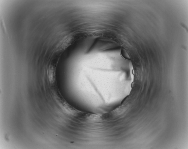 X0000097780138200803211807