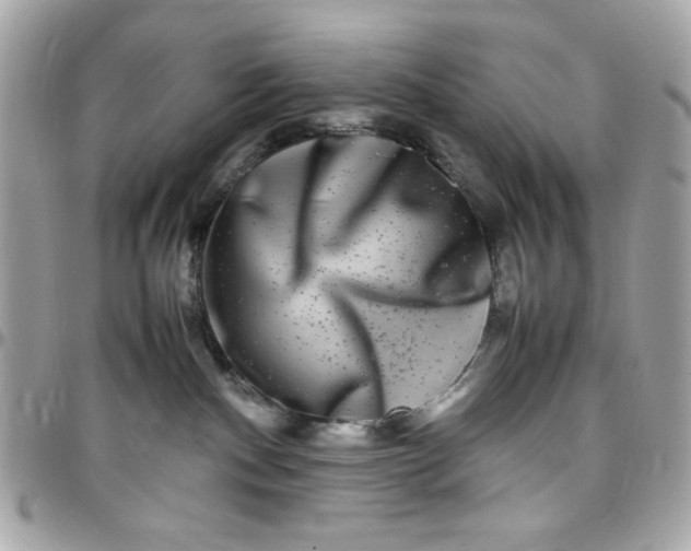 X0000097780140200803211807