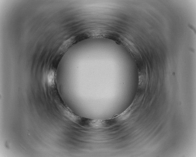 X0000097780142200803211807