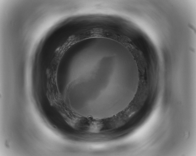 X0000097780143200803211807