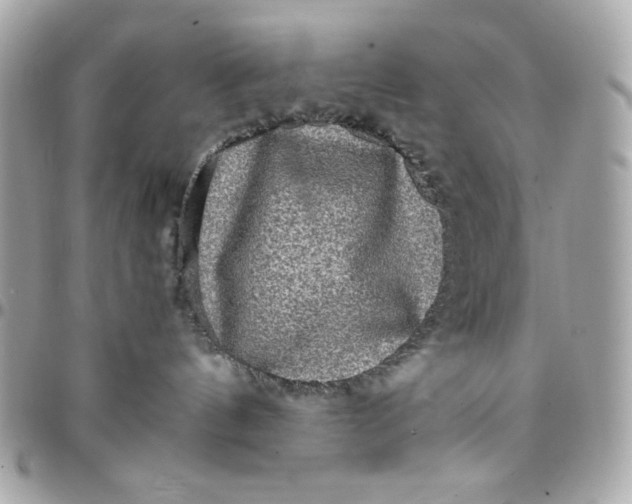 X0000097780144200803211807